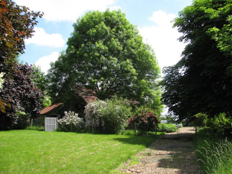 Domaine de Guichy_58350 NANNAY_15